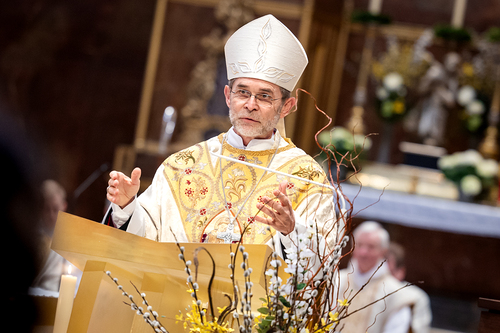 Priesterweihe Ambruster / Erzdiözese Wien/Schönlaub