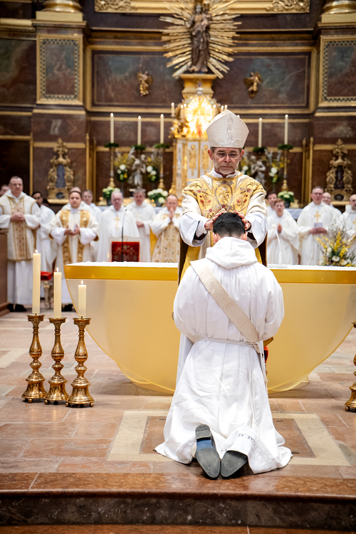 Priesterweihe Ambruster / Erzdiözese Wien/Schönlaub
